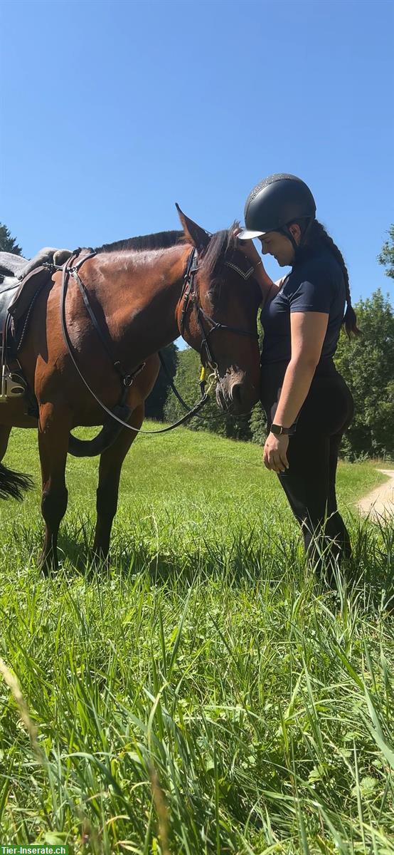 Bild 2: Reitcoaching, Reitunterricht für Reiter mit Unsicherheiten & Ängsten