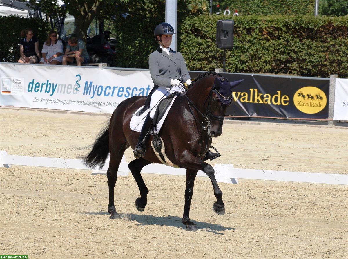 Bild 2: Dressurunterricht, Lergänge und Pferdeausbildung