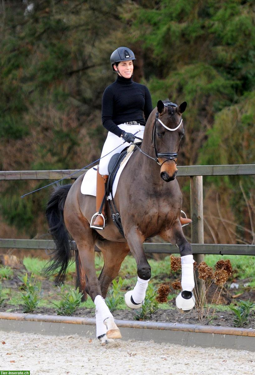 Bild 4: Dressurunterricht, Lergänge und Pferdeausbildung