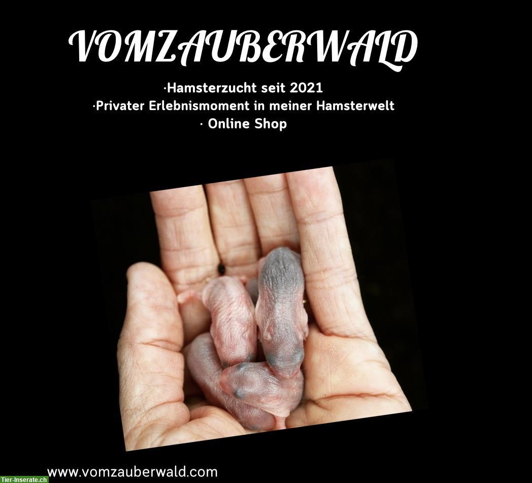 Bild 2: Herzensempfehlungen für Hamsterhalter