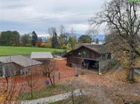 2 Offenstallplätze frei für Wallache in Sempach LU