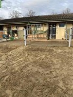 Auslaufboxe frei in Pensionsstall in Rossrüti SG