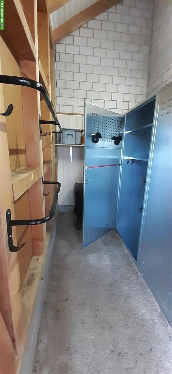 Bild 9: Offenstallplatz/Auslaufboxe für Isländer / Kleinpferd