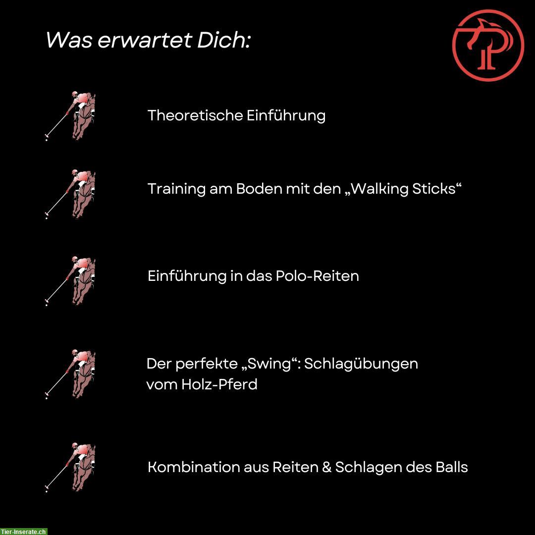 Bild 2: Polo Schnuppertag auf dem Ettikoner Hof