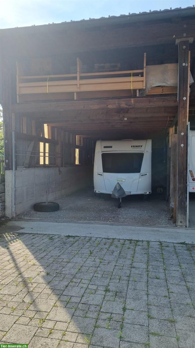 Bild 3: Pferdeboxen mit Auslauf zu vermieten 🐴 Schönholzerswilen TG