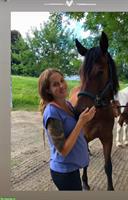 Suche Reitbeteiligung im Raum Schaffhausen