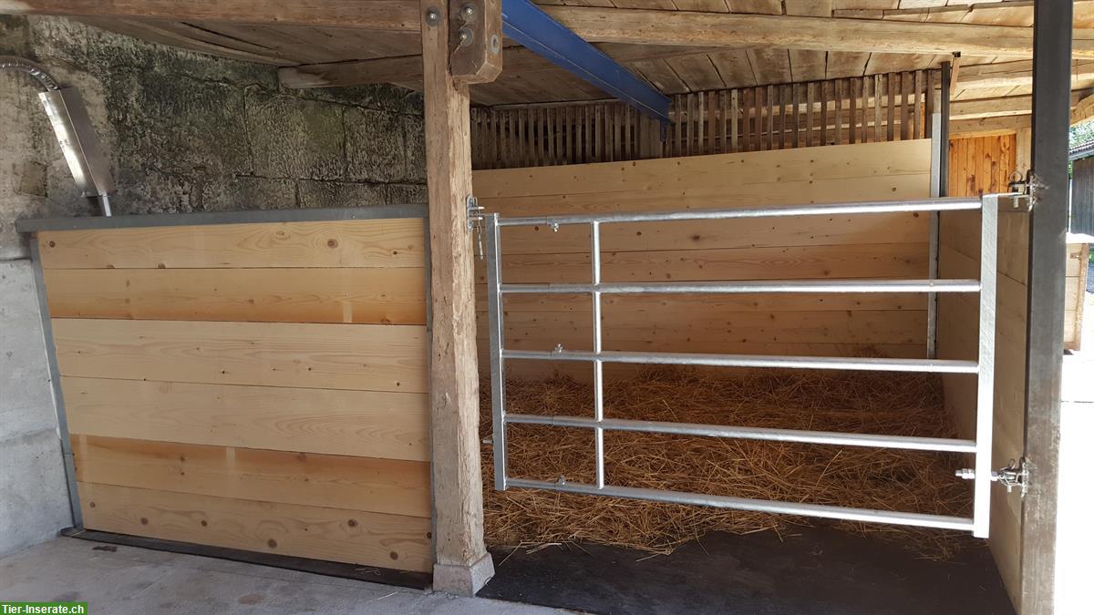 Bild 3: 2 grosse Pferdeboxen auf Bauernhof frei in Mattstetten BE