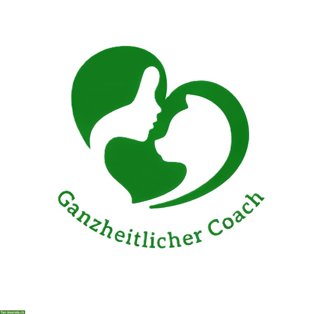 Katzentrainer - Ganzheitlicher Katze-Mensch-Coach