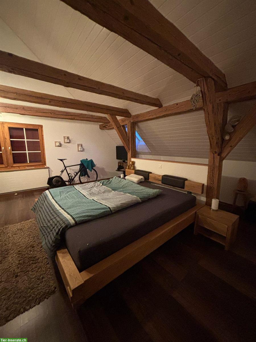 Bild 5: Bauernhof Wohnung zu vermieten