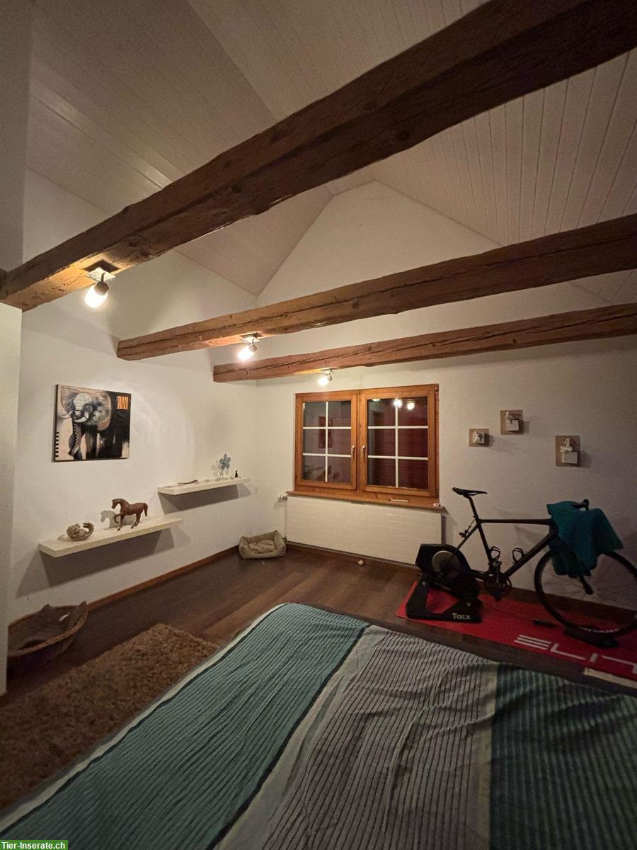 Bild 6: Bauernhof Wohnung zu vermieten