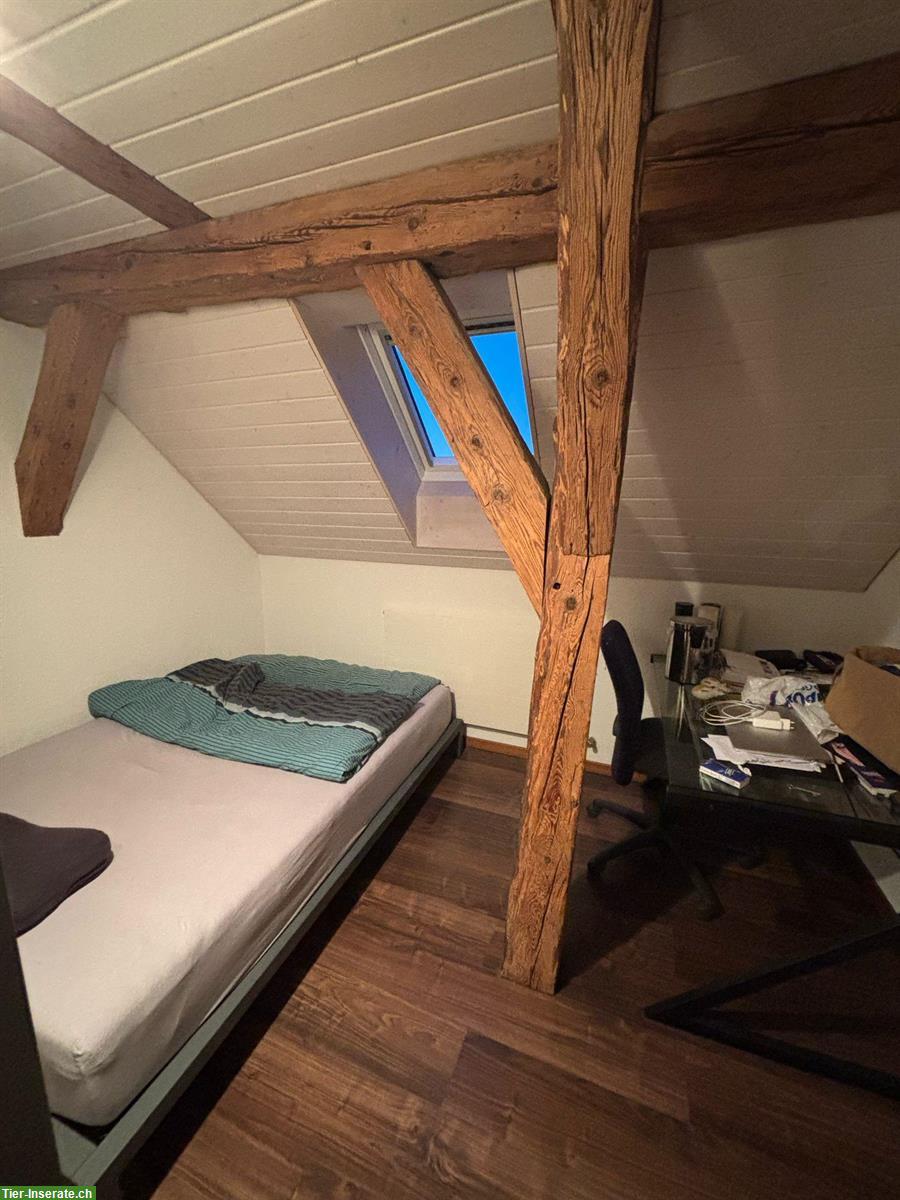 Bild 7: Bauernhof Wohnung zu vermieten