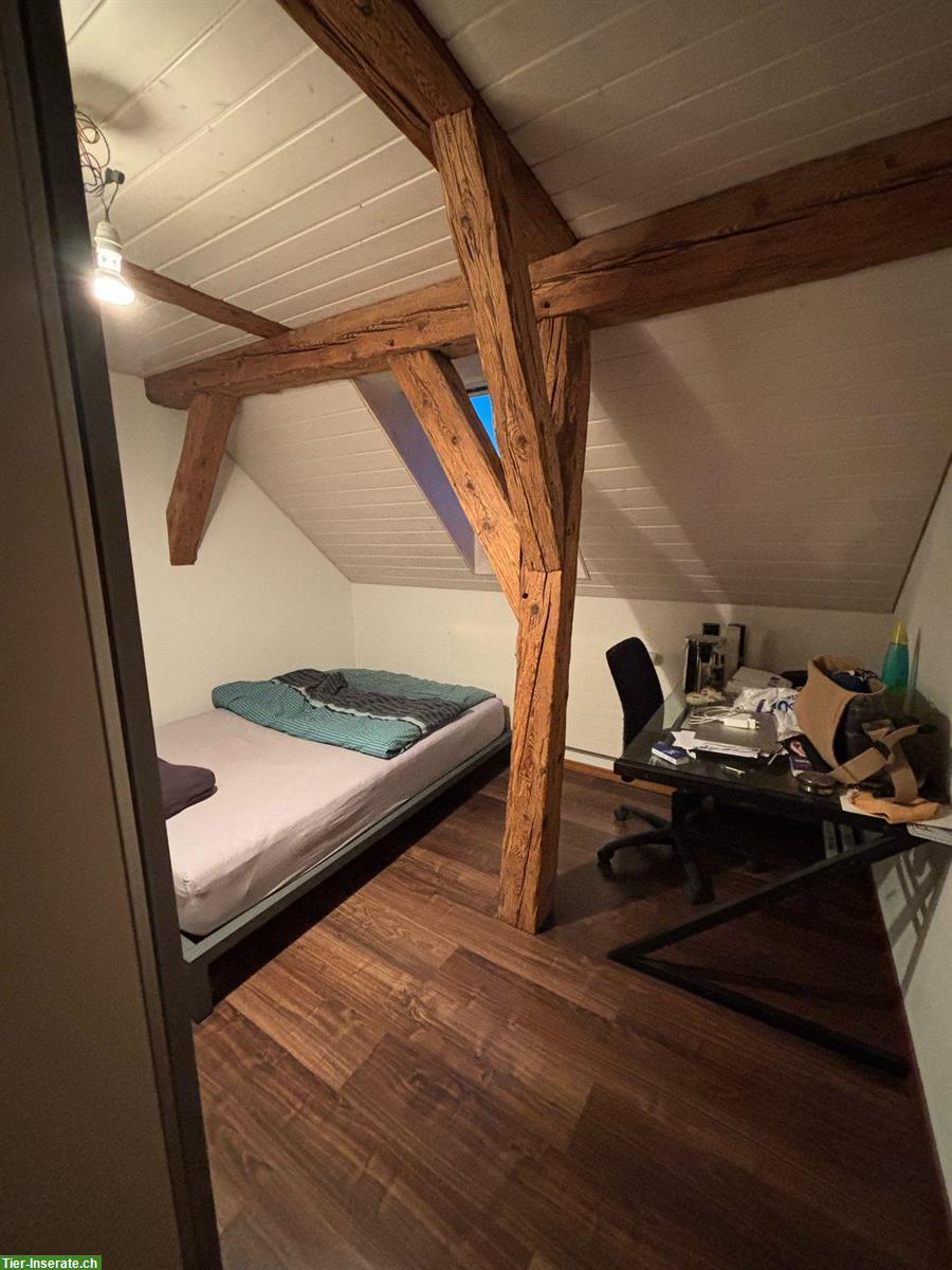 Bild 8: Bauernhof Wohnung zu vermieten