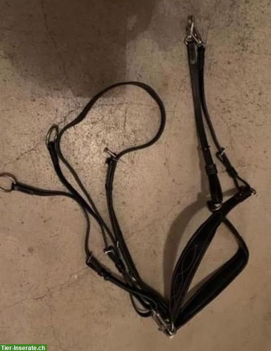 Bild 3: Pferdezubehör zu verkaufen - ALLES MUSS WEG...