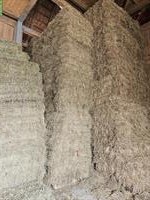 Schönes Emd in Kleinballen zu verkaufen