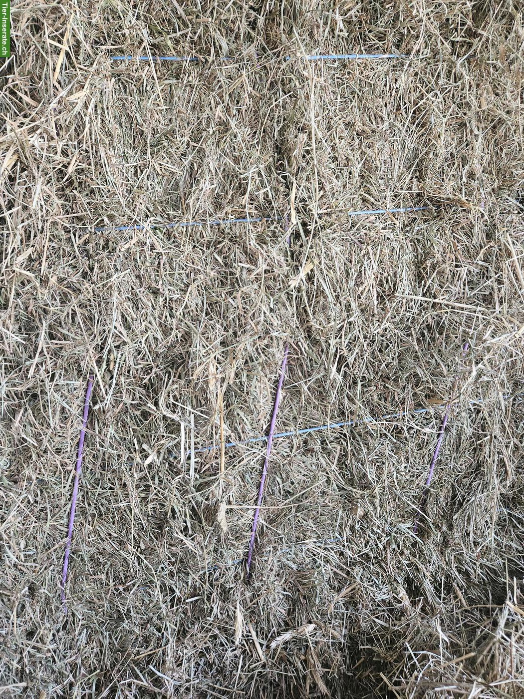 Bild 4: Schönes Heu und Emd sowie Weizenstroh in Kleinballen zu verkaufen