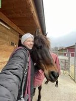 Suche Reitbeteiligung, Raum Mümliswil, Kanton Solothurn