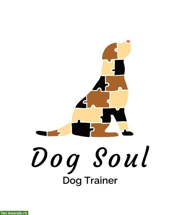 Hundeschule DogSoul - Professioneller Einzelunterricht