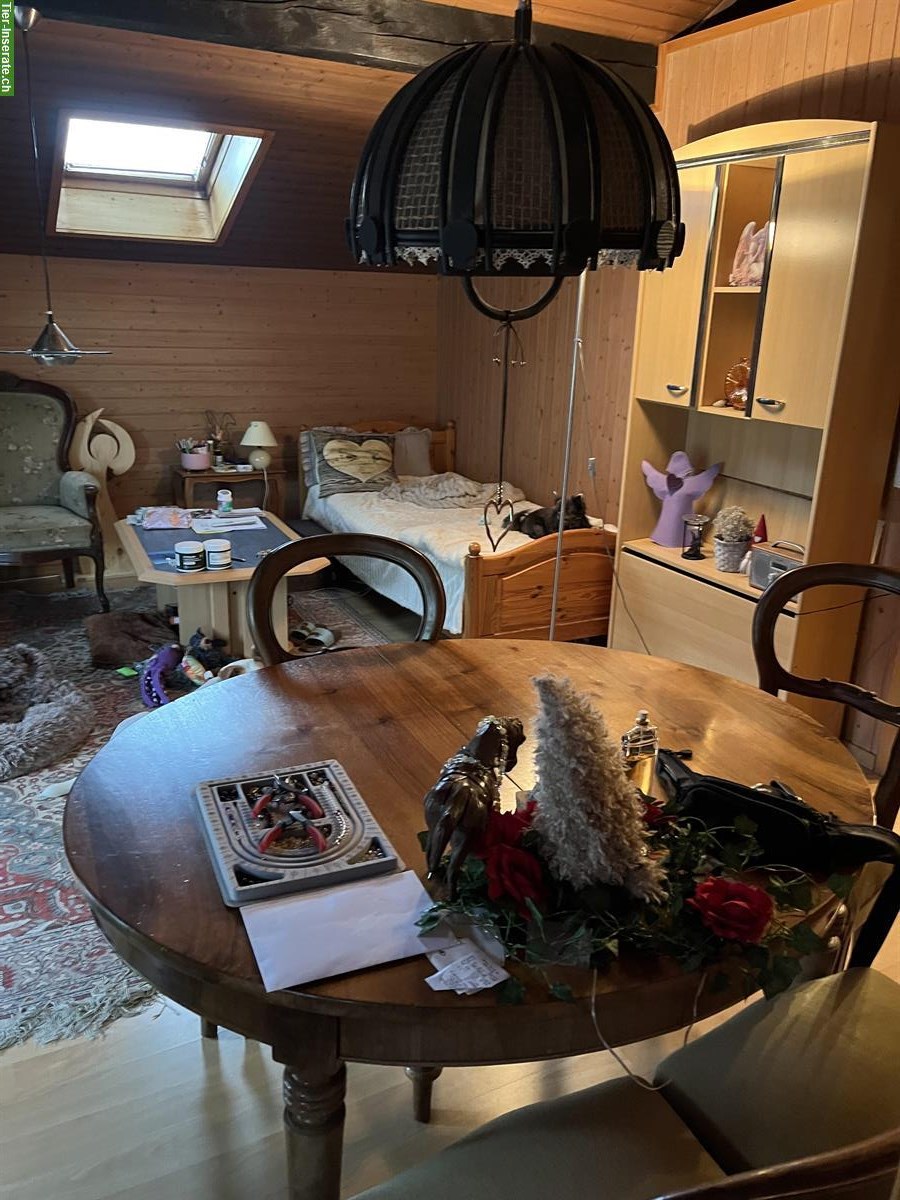 Bild 2: 3 Zimmer Wohnung + Zusatzraum in Zollbrück BE