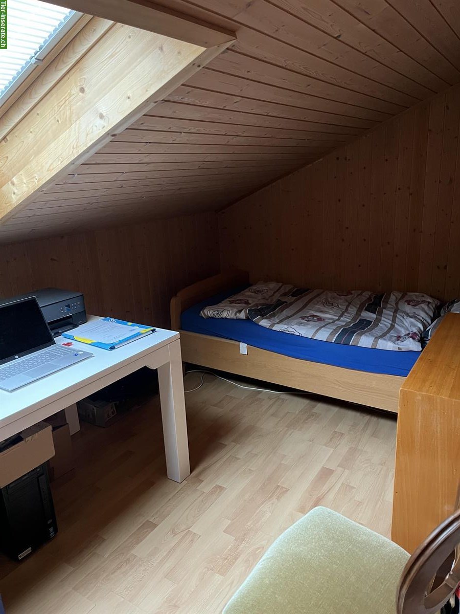 Bild 3: 3 Zimmer Wohnung + Zusatzraum in Zollbrück BE