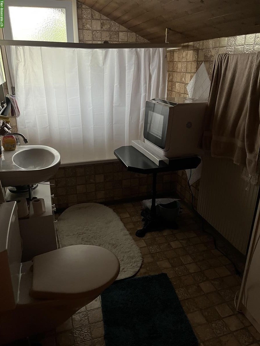 Bild 4: 3 Zimmer Wohnung + Zusatzraum in Zollbrück BE