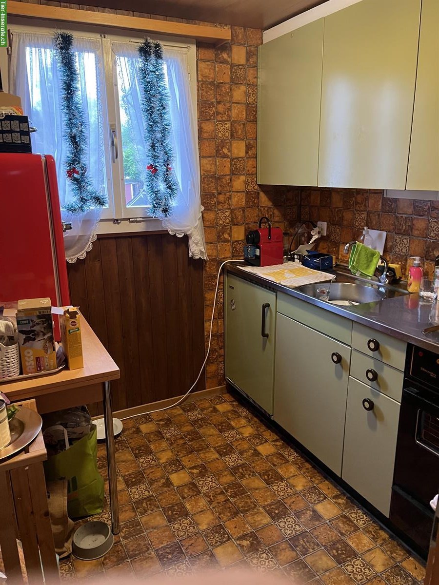 Bild 7: 3 Zimmer Wohnung + Zusatzraum in Zollbrück BE