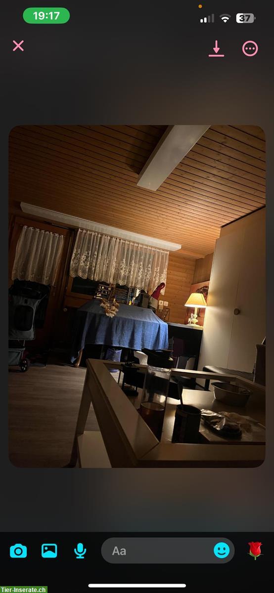 Bild 9: 3 Zimmer Wohnung + Zusatzraum in Zollbrück BE