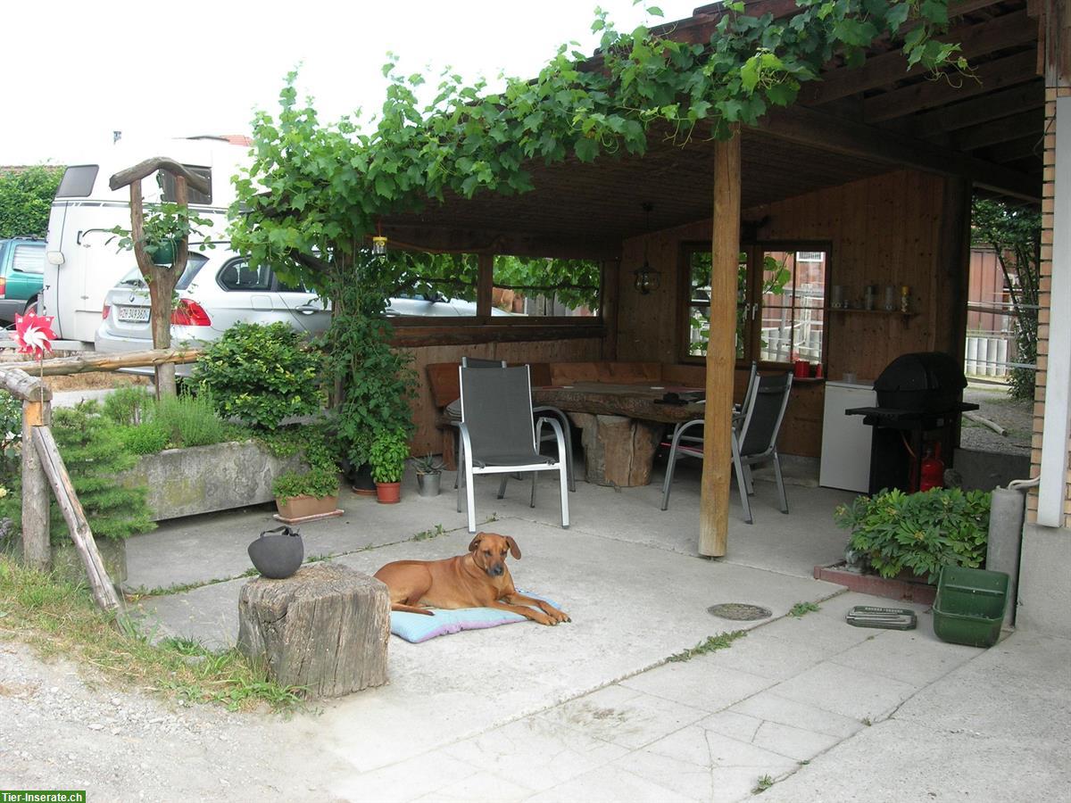 Bild 9: Pferdfachperson / StallmitarbeiterIn | Stall Chez Max