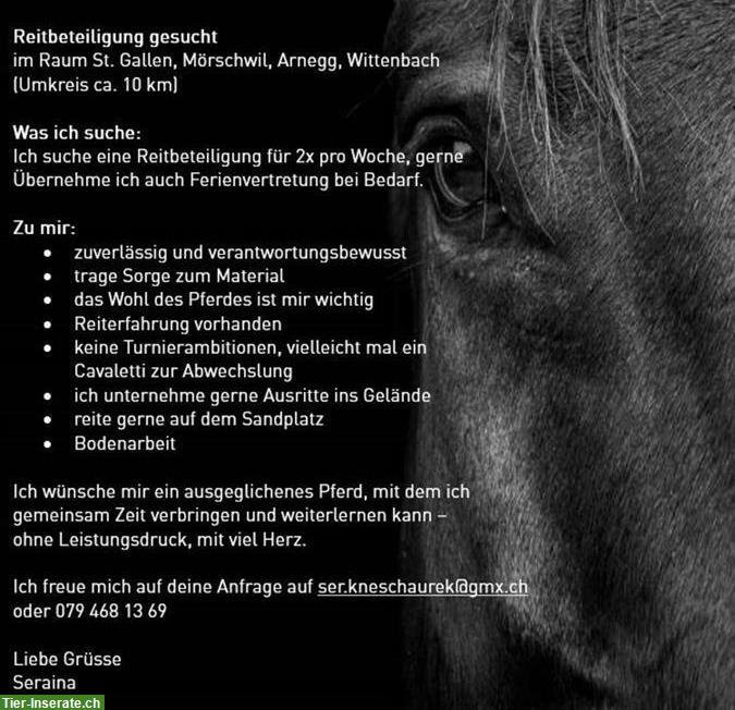 Suche Reitbeteiligung in St. Gallen, Mörschwil, Arnegg, Wittenbach
