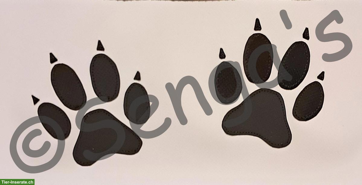 Bild 5: Hundebox Tasche «2 Pfoten» in Schweizer Handarbeit