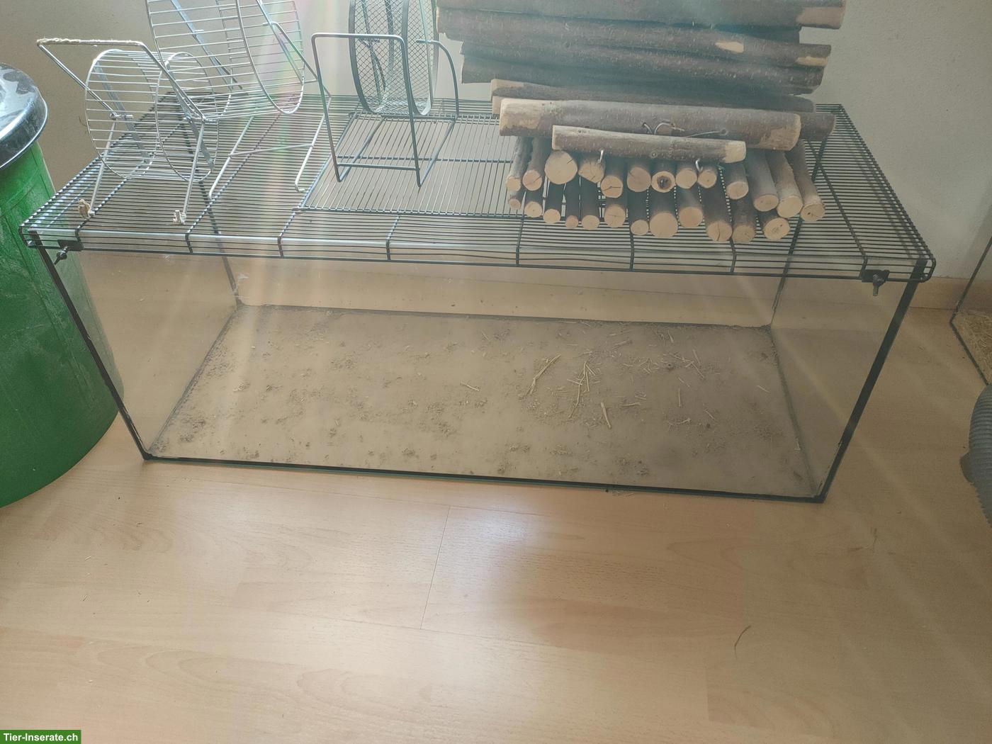 Bild 3: Diverse Nager Terrarien günstig zu verkaufen