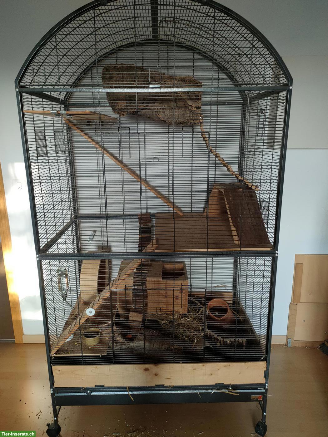 Bild 4: Diverse Nager Terrarien günstig zu verkaufen