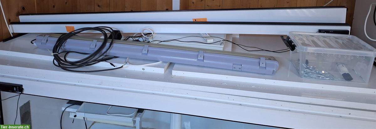 Bild 2: Forex Terrarium 200x100x95cm zu verkaufen