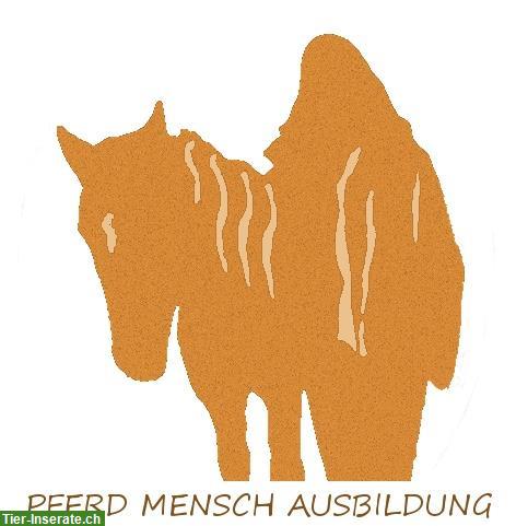 Persönlicher mobiler Reitunterricht im Kanton Zug, Schwyz & Umgebung
