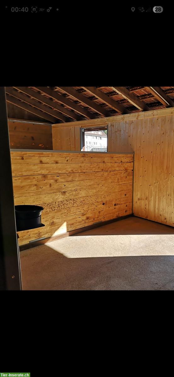 Bild 10: Grosse Auslaufsboxe zu vermieten in Luzern/Littau