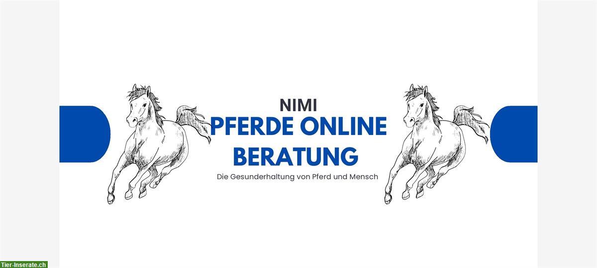 NiMi online Beratung für die Gesunderhaltung von Pferd & Reiter