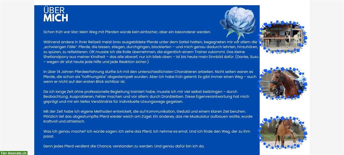 Bild 2: NiMi online Beratung für die Gesunderhaltung von Pferd & Reiter