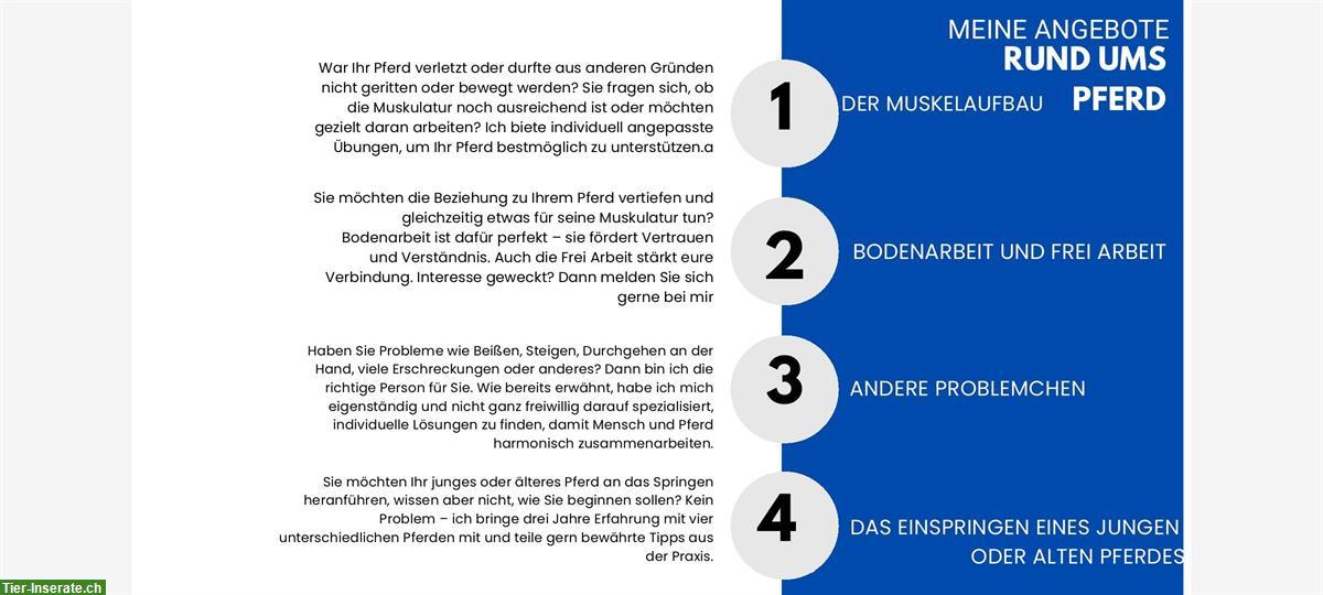 Bild 3: NiMi online Beratung für die Gesunderhaltung von Pferd & Reiter