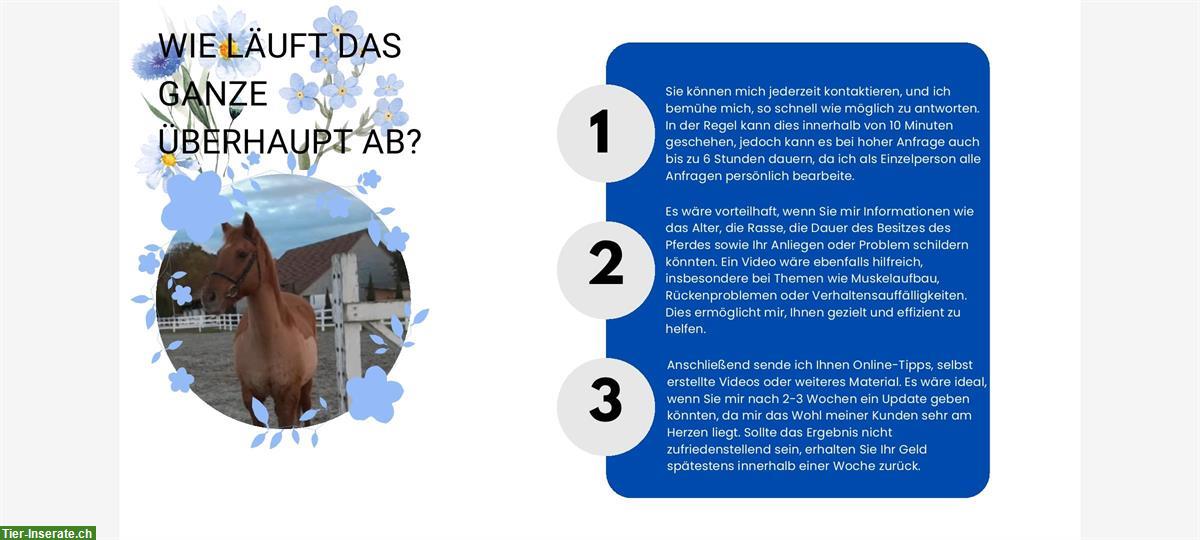 Bild 4: NiMi online Beratung für die Gesunderhaltung von Pferd & Reiter