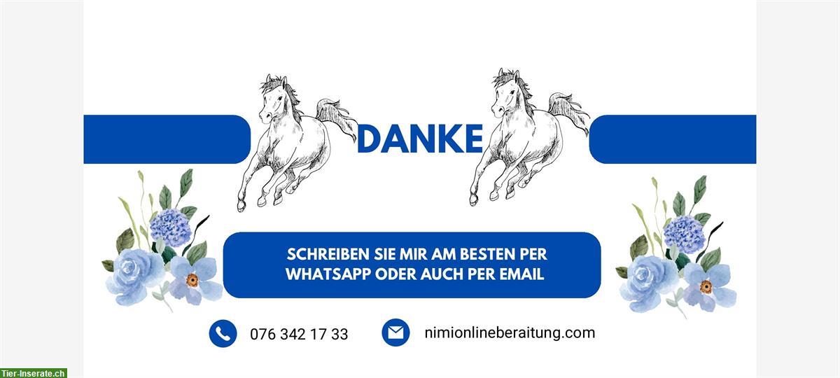 Bild 5: NiMi online Beratung für die Gesunderhaltung von Pferd & Reiter