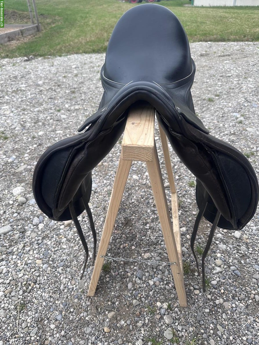 Bild 8: Maxflex Dressursattel 17,5 Zoll zu verkaufen
