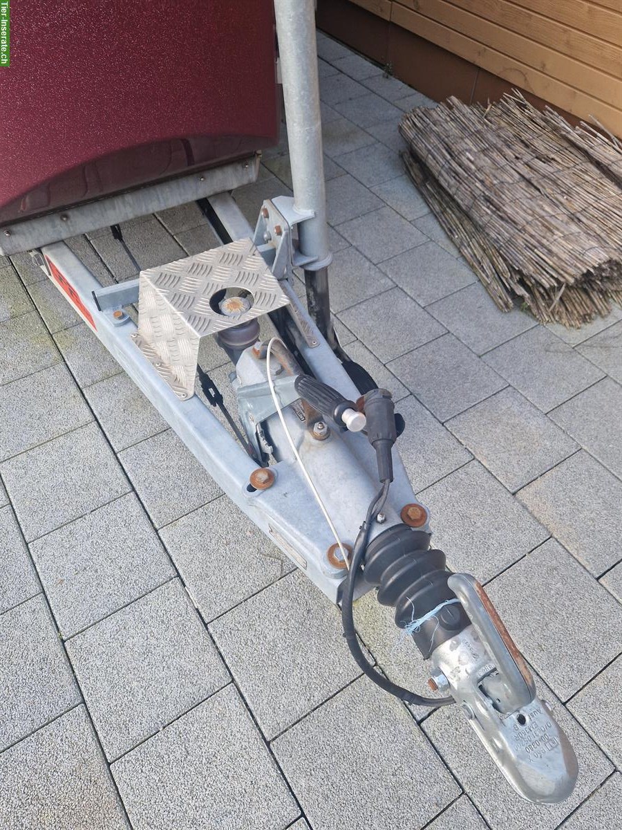 Bild 2: Pferdeanhänger Böckmann PA 2400 ab Platz