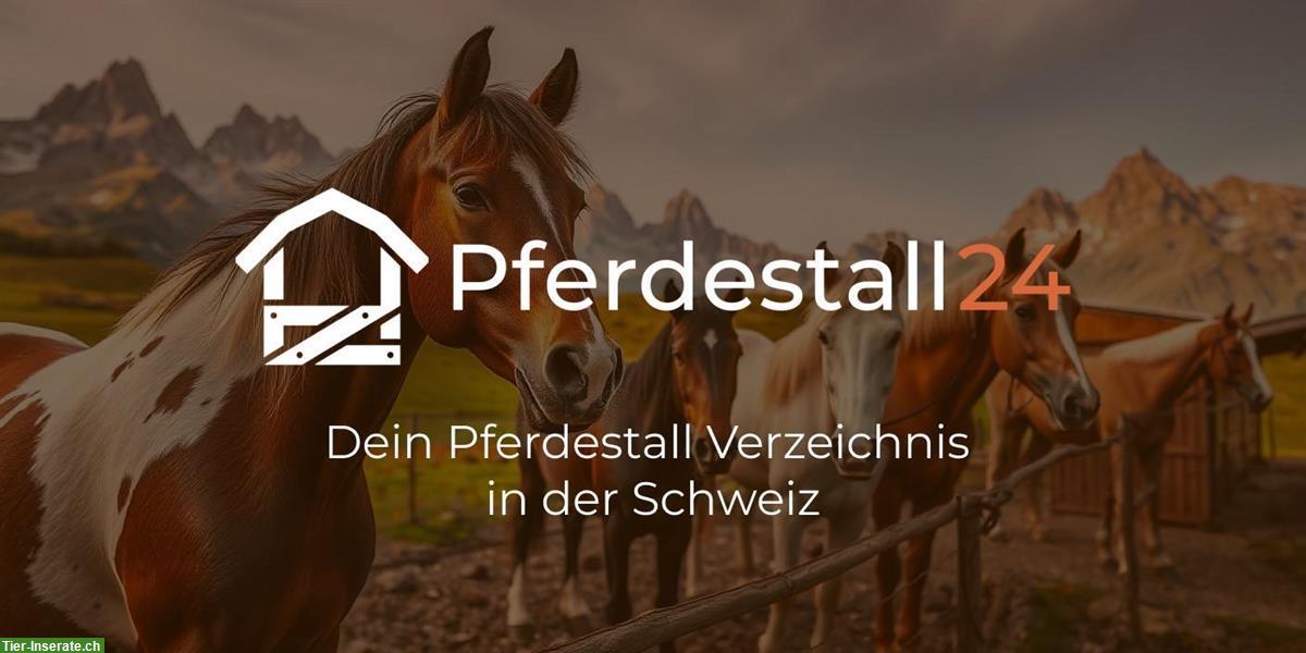 Pferdestall24.ch – das Verzeichnis für Pferdeställe in der Schweiz 🐴