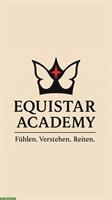Sitzanalyse + Trainingsplan | besser & schöner Reiten lernen