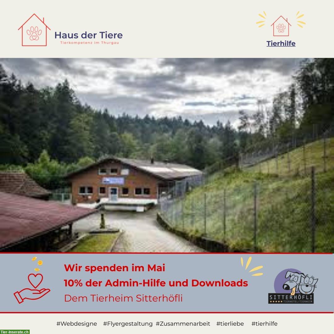 Wir gestalten Webseiten, Social Media & Checklisten – und spenden 10%