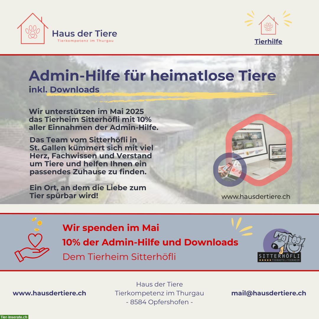 Bild 3: Wir gestalten Webseiten, Social Media & Checklisten – und spenden 10%