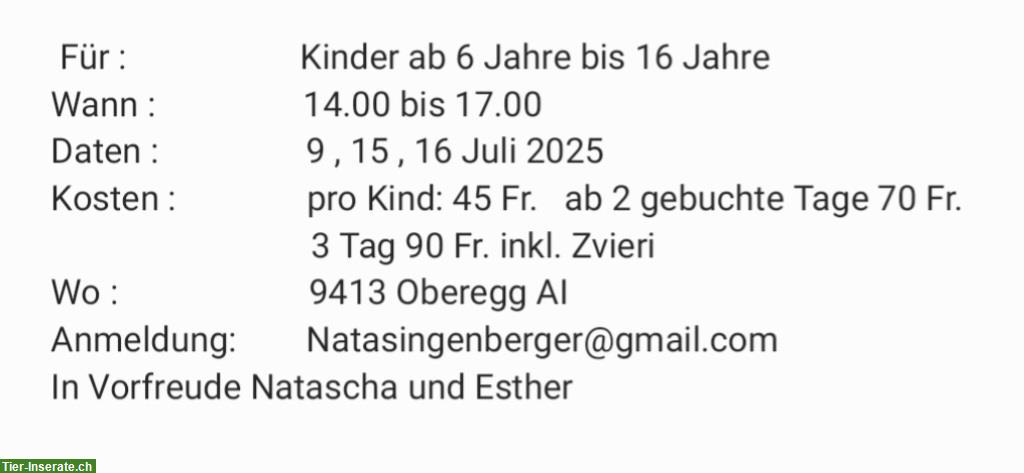 Bild 5: Ferienangebot bei Zwergkaninchen Hobbyzucht