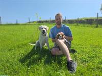 Hundehort im Grünen, 6403 Küssnacht am Rigi