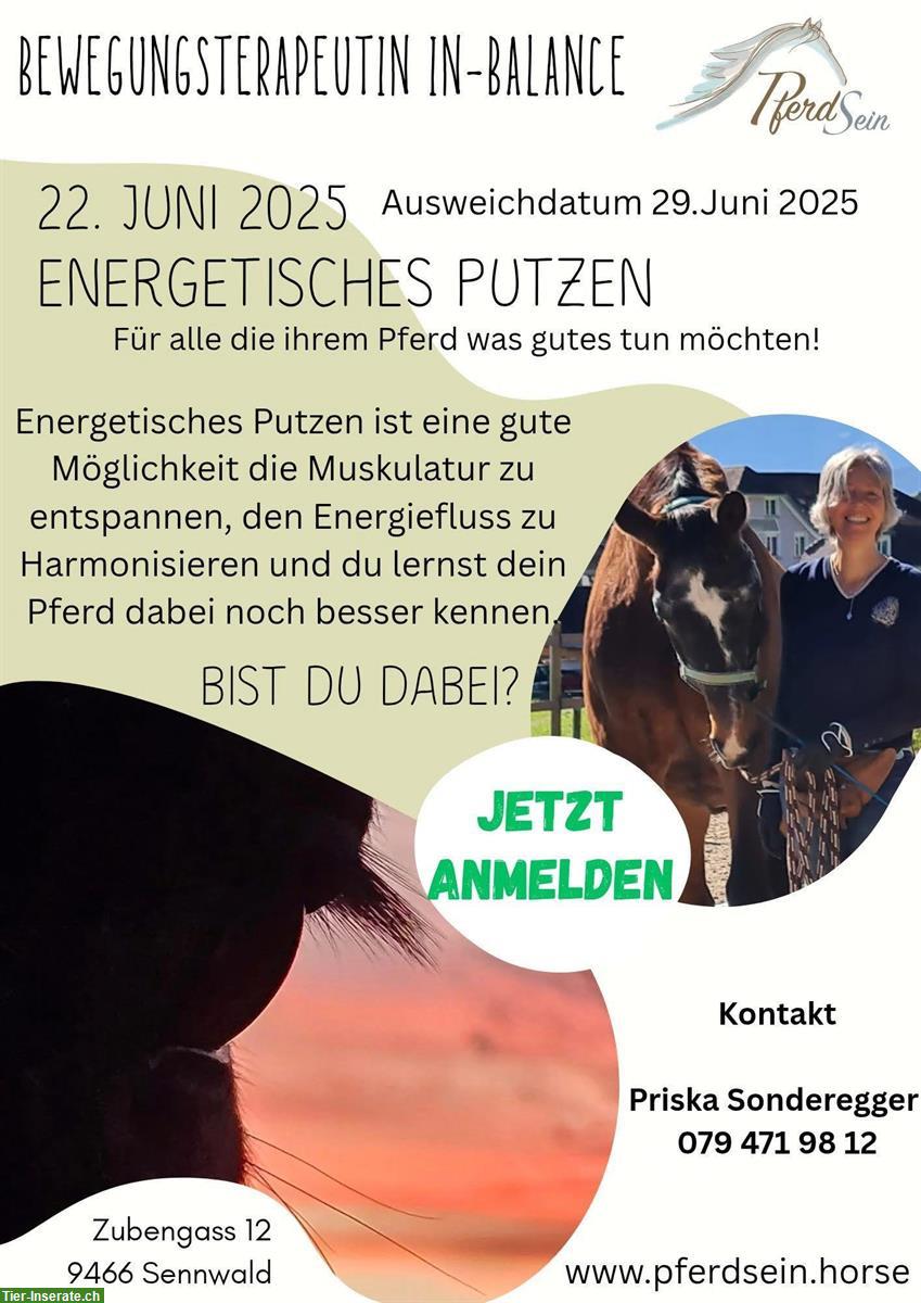 Energetisches Putzen | Kurs für Pferdebesitzer