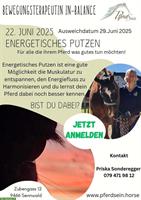 Energetisches Putzen | Kurs für Pferdebesitzer