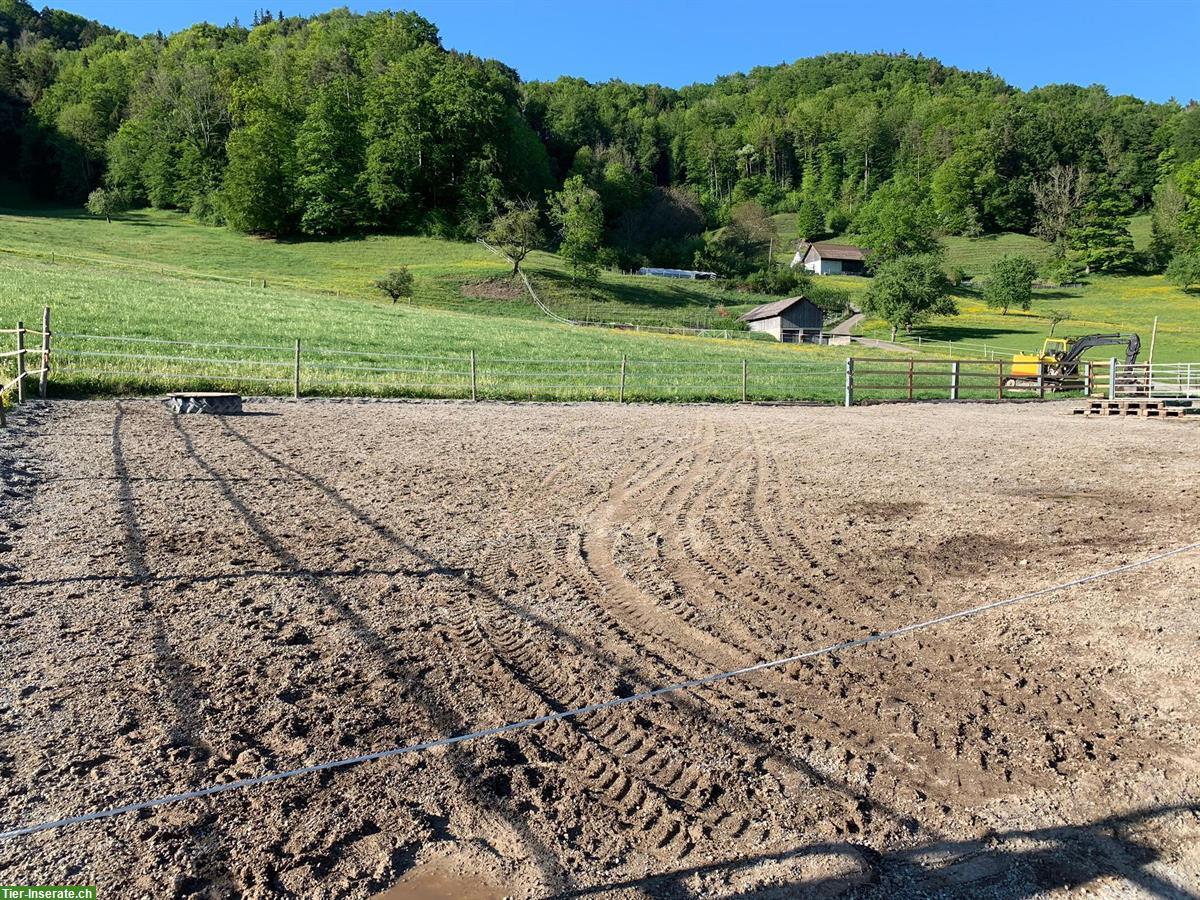 Bild 4: Offenstallplatz für Wallach in 9604 Oberrindal SG